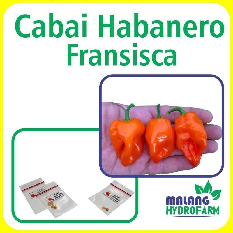 Jual Habanero Terjamin Kualitasnya di Tempat Kami