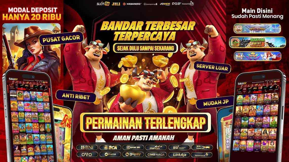 Bandar Habanero OVO Terpercaya & Terbaik di Indonesia